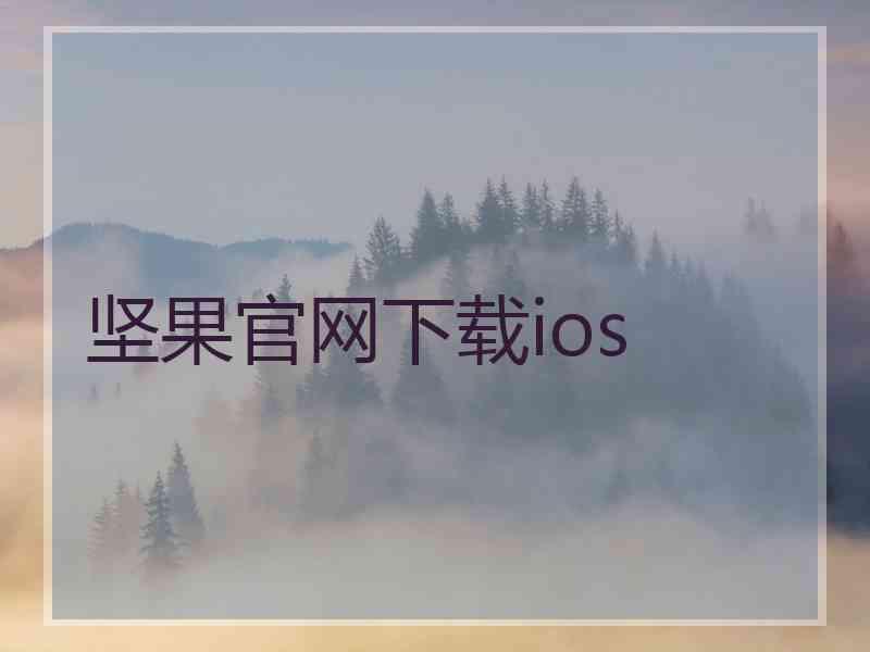 坚果官网下载ios