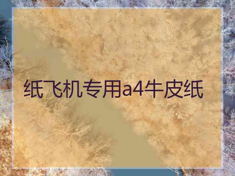 纸飞机专用a4牛皮纸