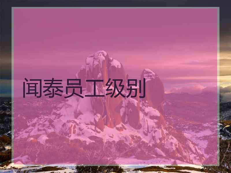 闻泰员工级别