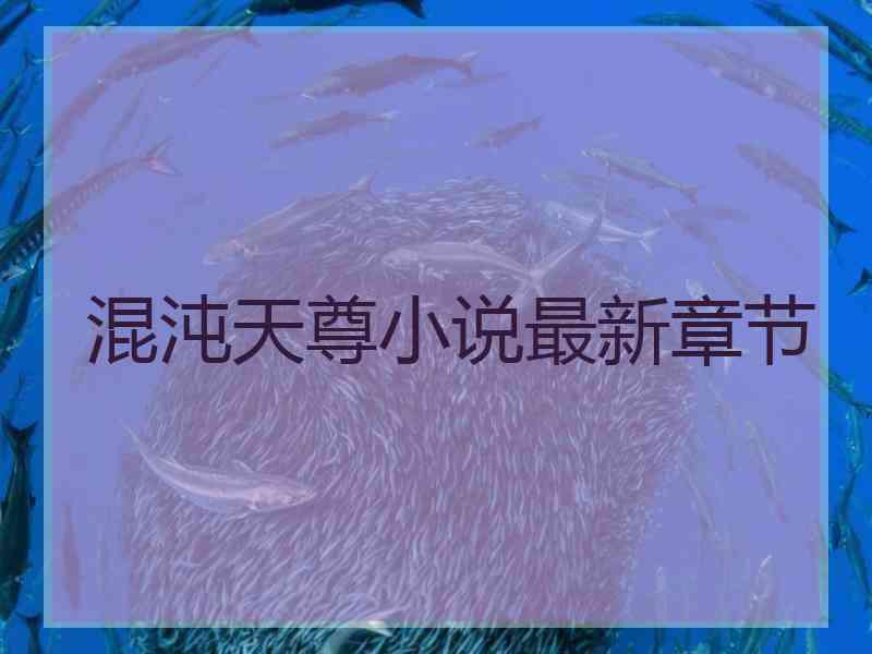 混沌天尊小说最新章节