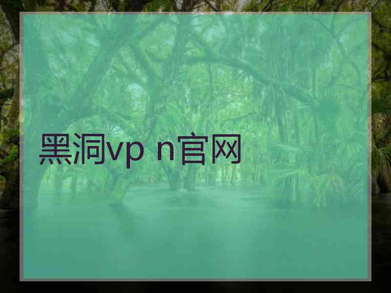 黑洞vp n官网