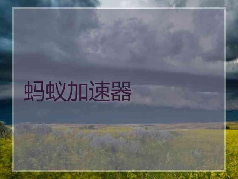 蚂蚁加速器