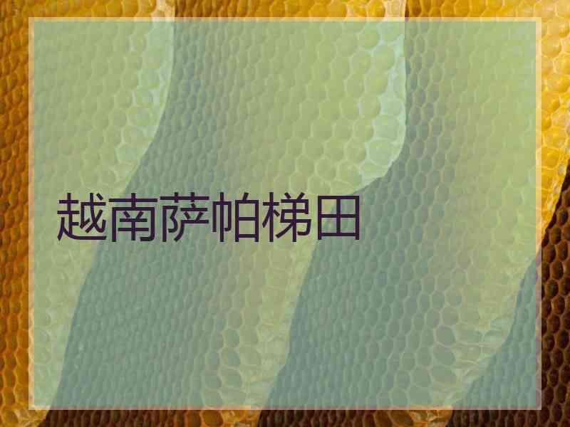 越南萨帕梯田