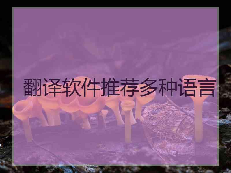 翻译软件推荐多种语言