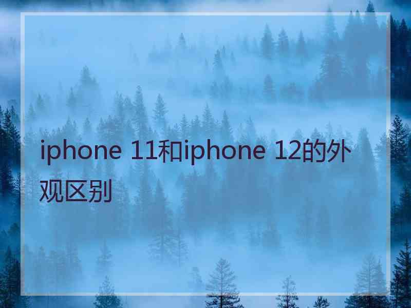 iphone 11和iphone 12的外观区别