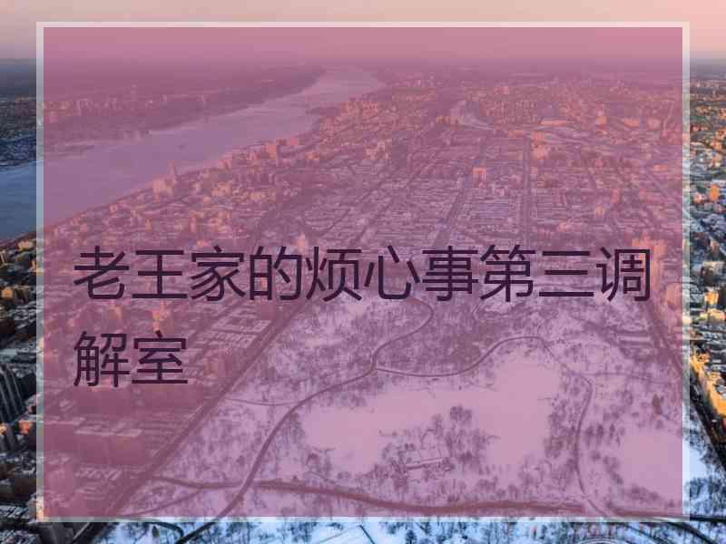 老王家的烦心事第三调解室