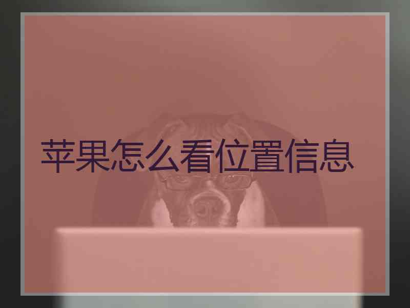 苹果怎么看位置信息