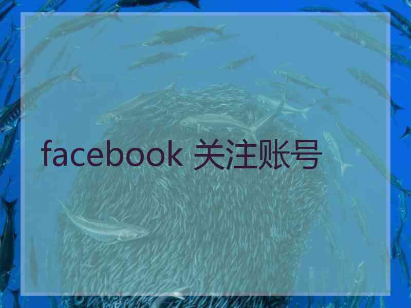 facebook 关注账号