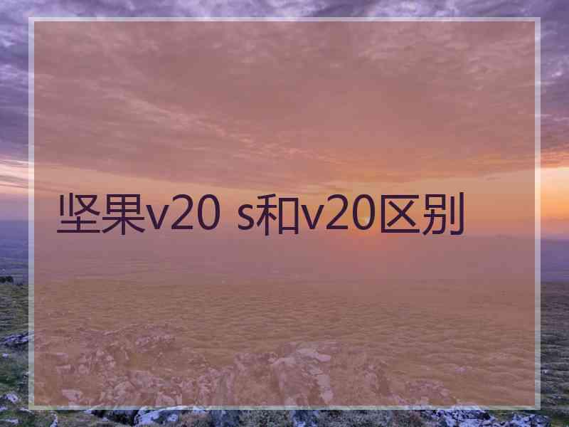 坚果v20 s和v20区别