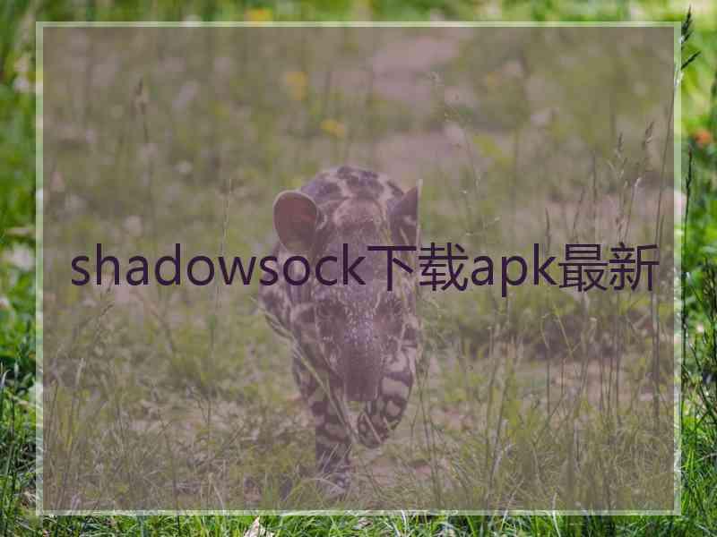 shadowsock下载apk最新