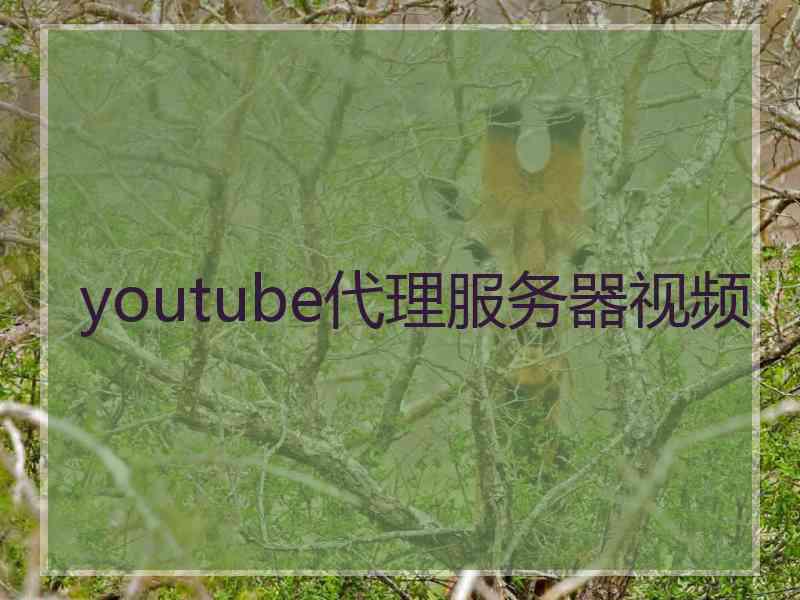 youtube代理服务器视频