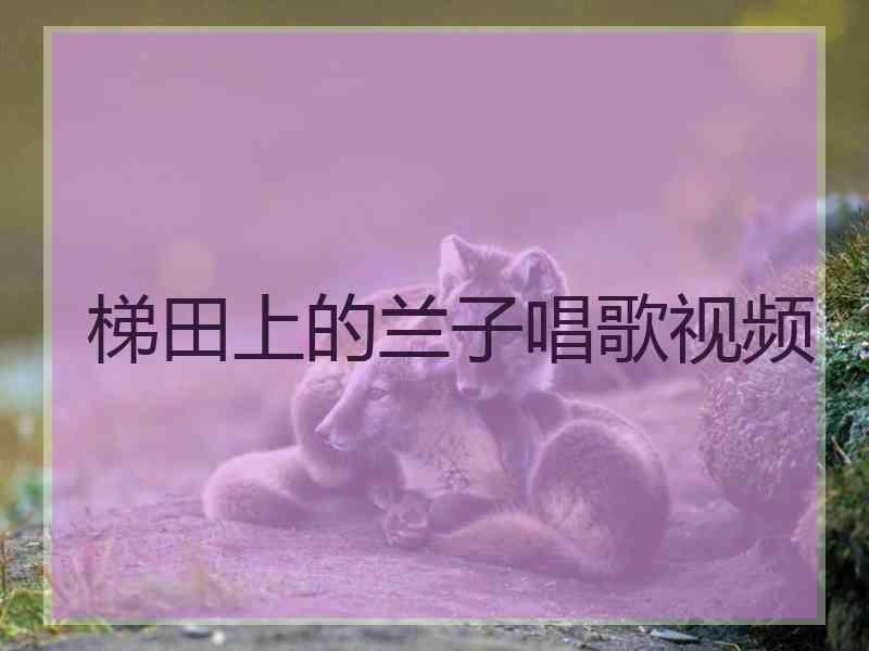 梯田上的兰子唱歌视频