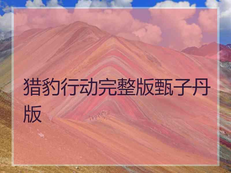 猎豹行动完整版甄子丹版