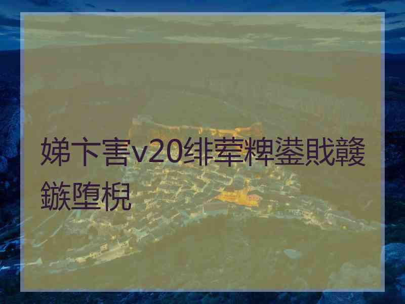 娣卞害v20绯荤粺鍙戝竷鏃堕棿