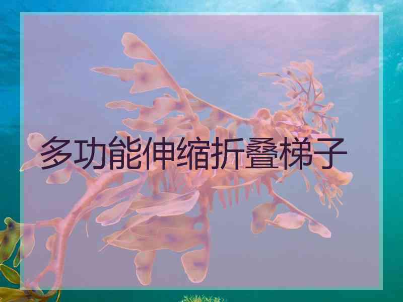 多功能伸缩折叠梯子