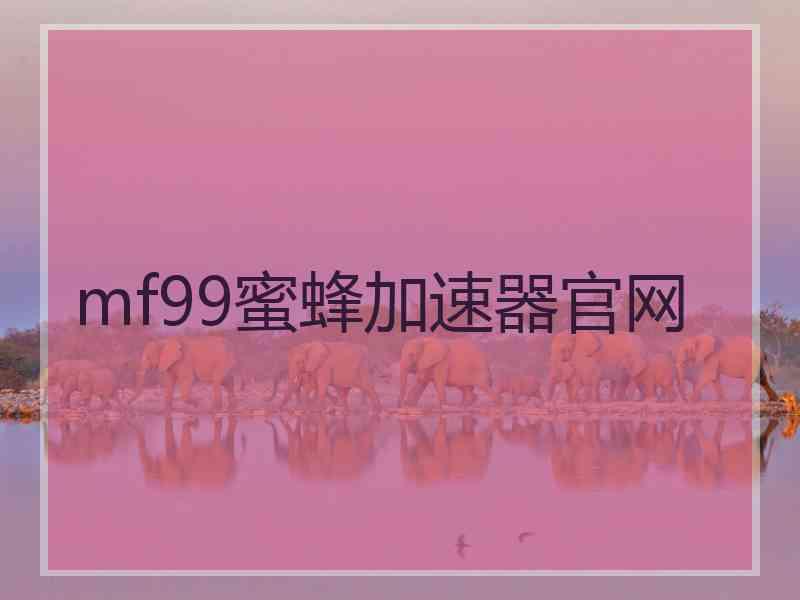 mf99蜜蜂加速器官网