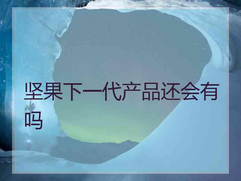 坚果下一代产品还会有吗