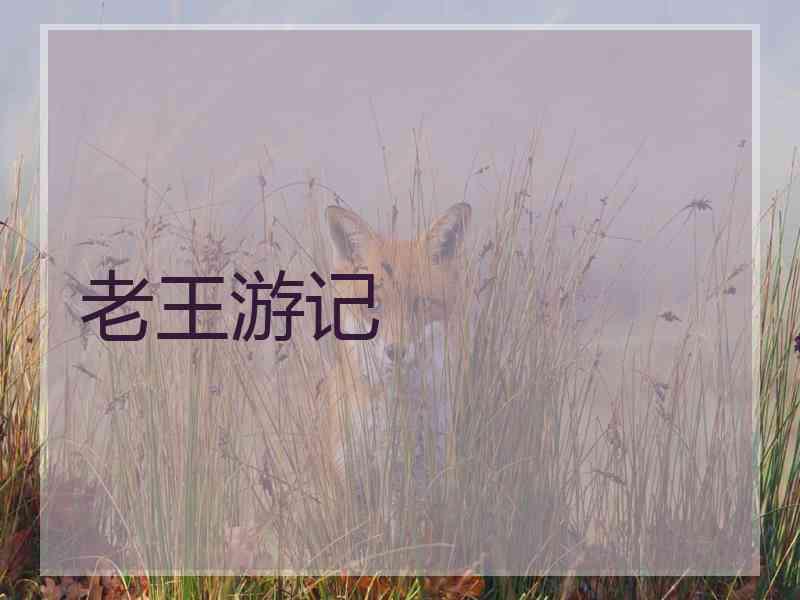 老王游记