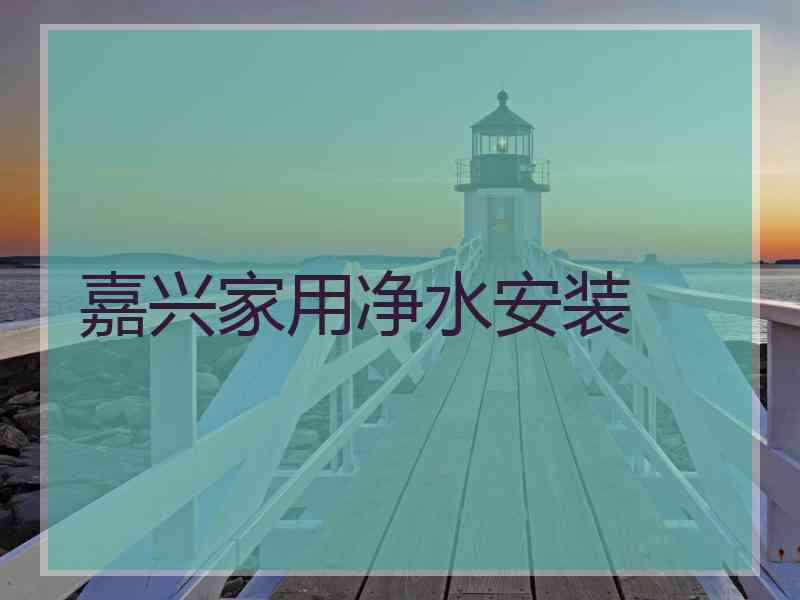 嘉兴家用净水安装