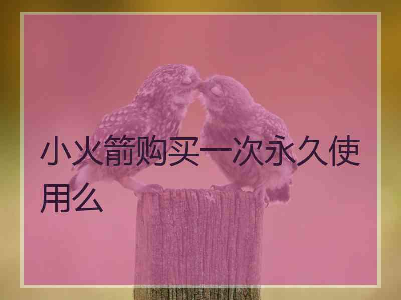 小火箭购买一次永久使用么
