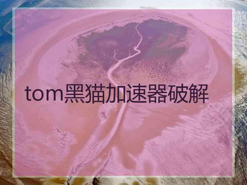 tom黑猫加速器破解
