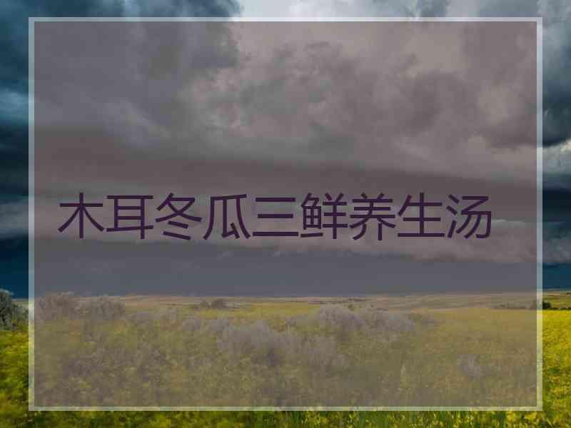 木耳冬瓜三鲜养生汤