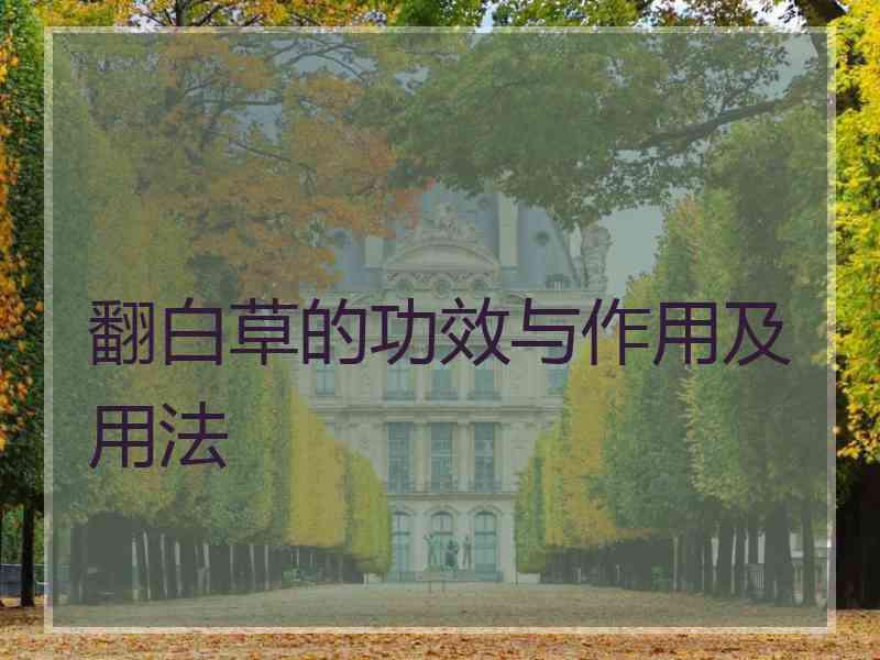 翻白草的功效与作用及用法