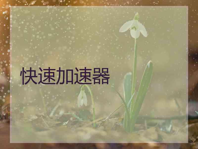 快速加速器