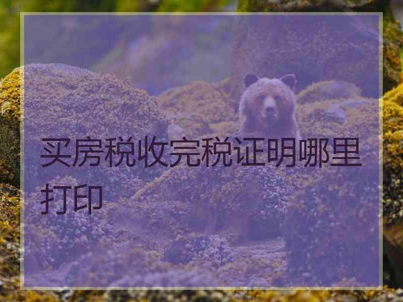 买房税收完税证明哪里打印