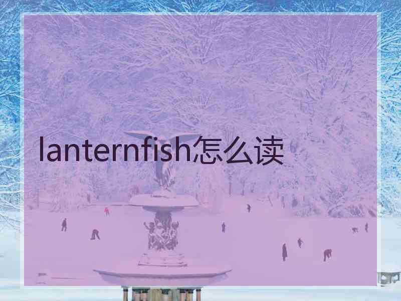 lanternfish怎么读