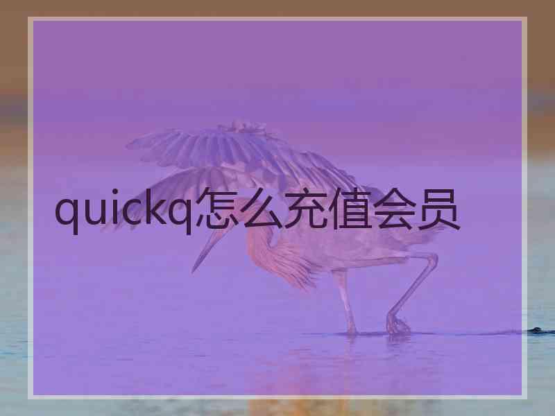quickq怎么充值会员