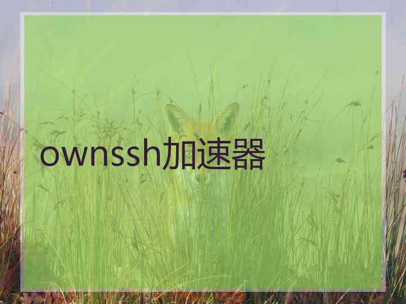 ownssh加速器
