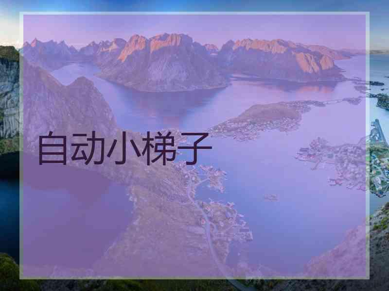 自动小梯子