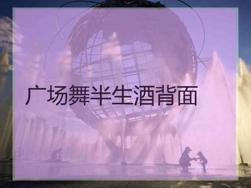 广场舞半生酒背面