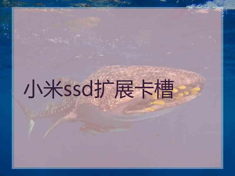 小米ssd扩展卡槽