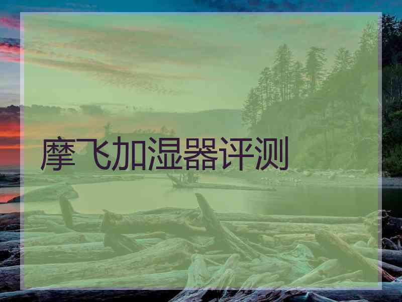 摩飞加湿器评测
