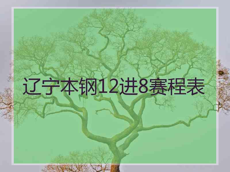 辽宁本钢12进8赛程表