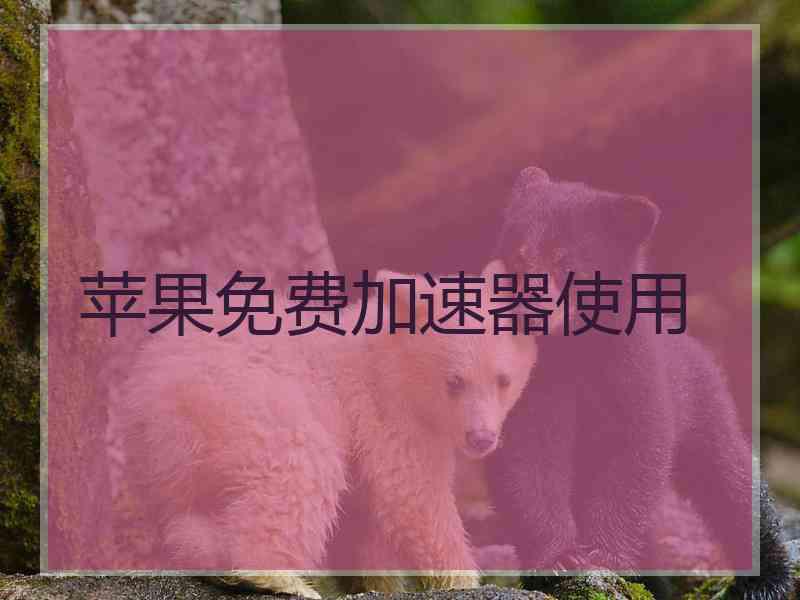 苹果免费加速器使用