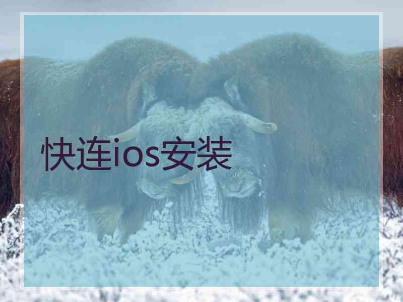 快连ios安装