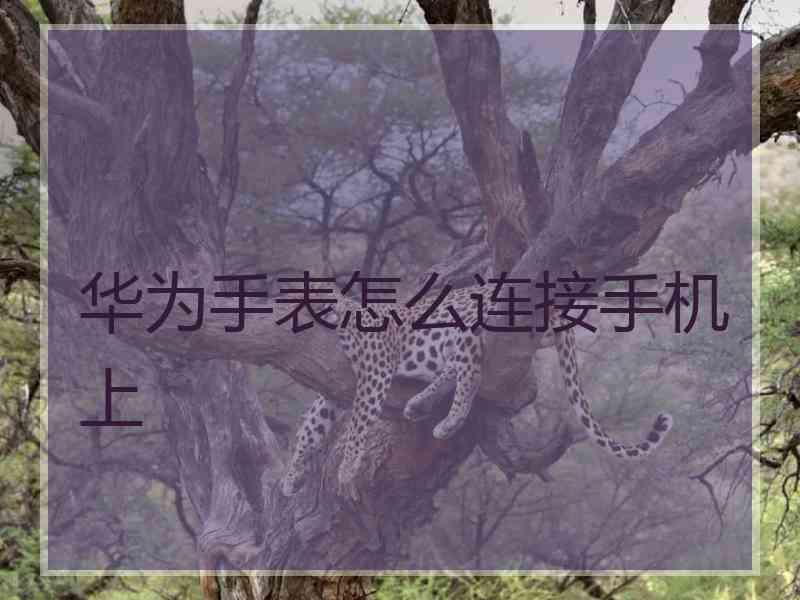 华为手表怎么连接手机上