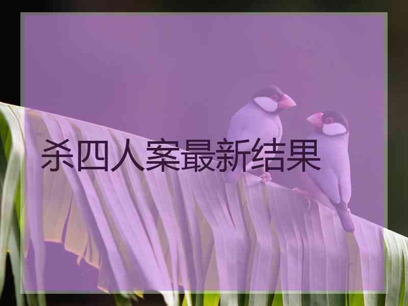 杀四人案最新结果