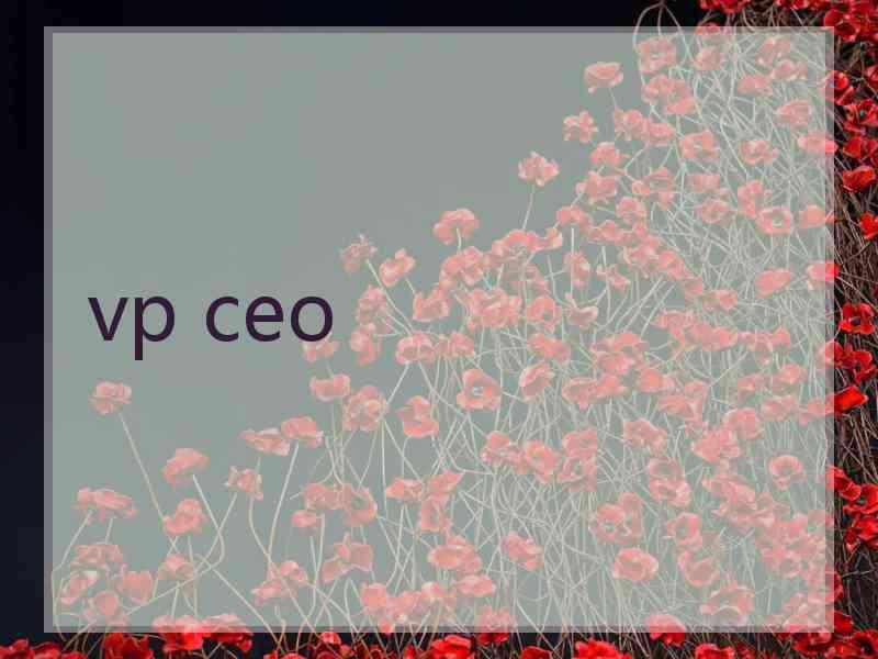 vp ceo