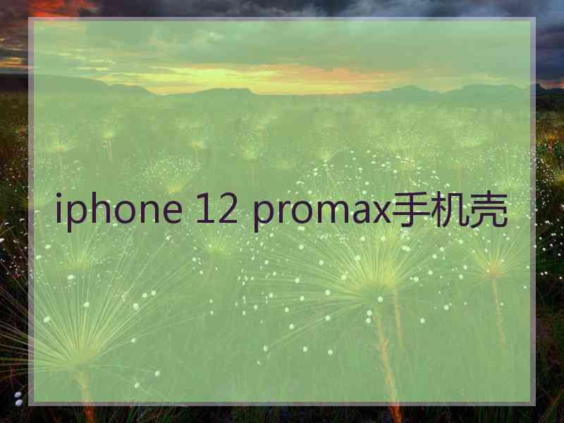 iphone 12 promax手机壳