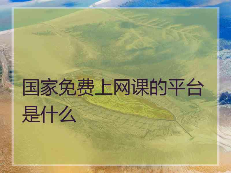 国家免费上网课的平台是什么