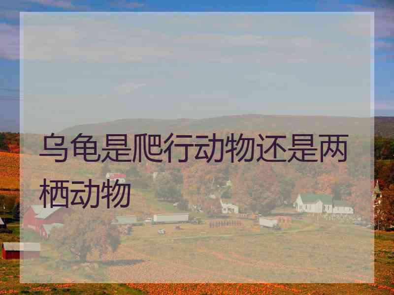 乌龟是爬行动物还是两栖动物