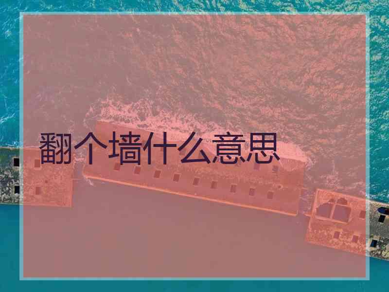 翻个墙什么意思
