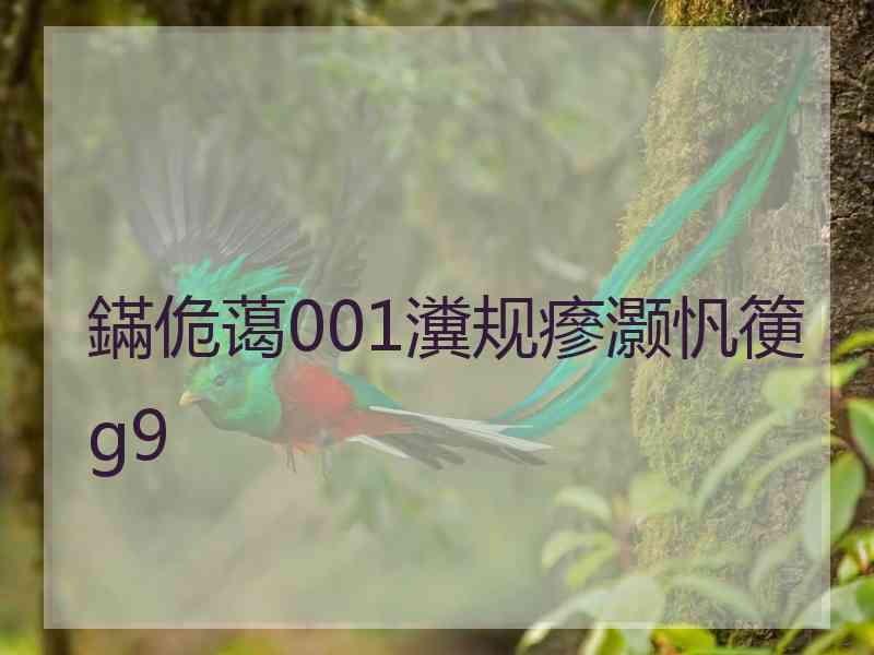 鏋佹蔼001瀵规瘮灏忛箯g9