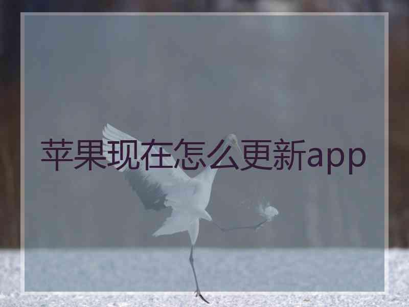 苹果现在怎么更新app