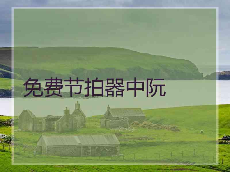 免费节拍器中阮
