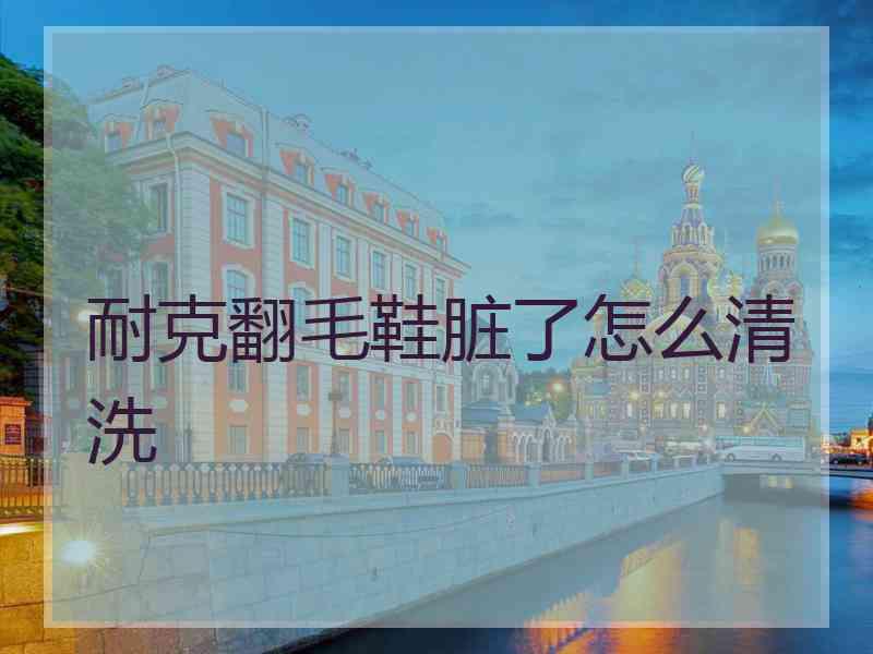 耐克翻毛鞋脏了怎么清洗